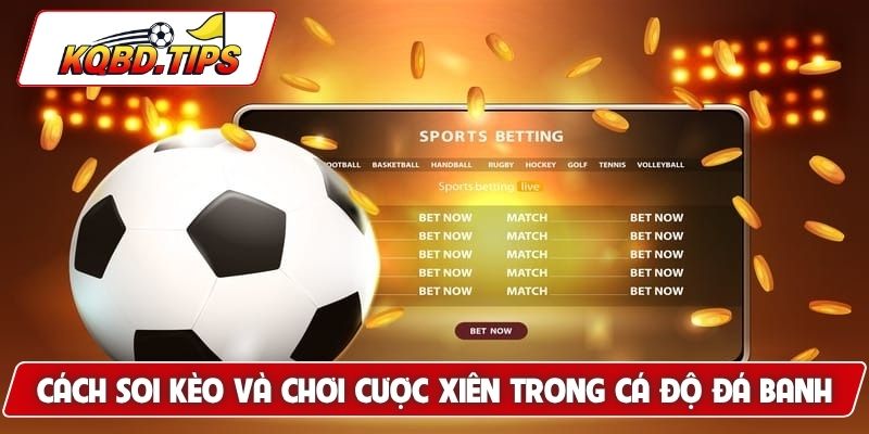 Cách soi kèo và chơi cược xiên trong cá độ đá banh