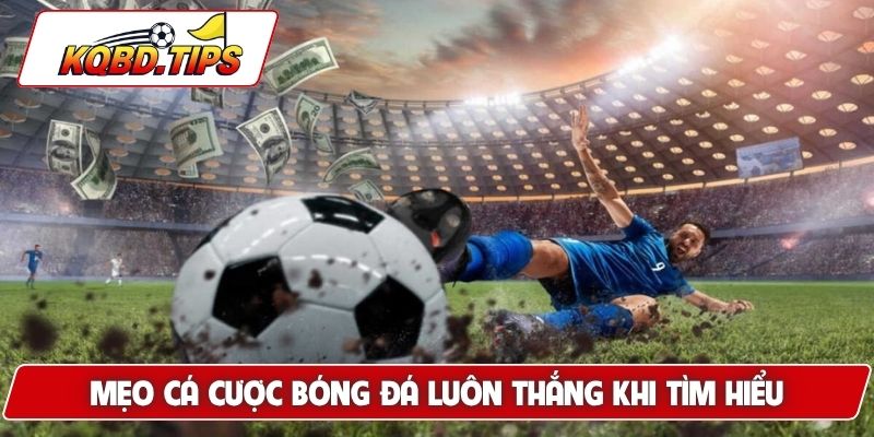 Mẹo cá cược bóng đá luôn thắng khi tìm hiểu thông tin
