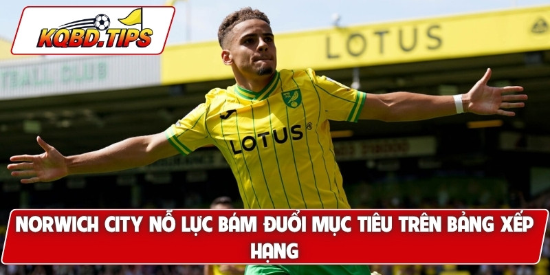 Norwich City nỗ lực bám đuổi mục tiêu trên bảng xếp hạng Championship